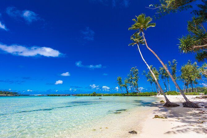 Vanuatu Highlights and Duty Free Shopping - Exploring Efate: A Detailed Look at the Tour