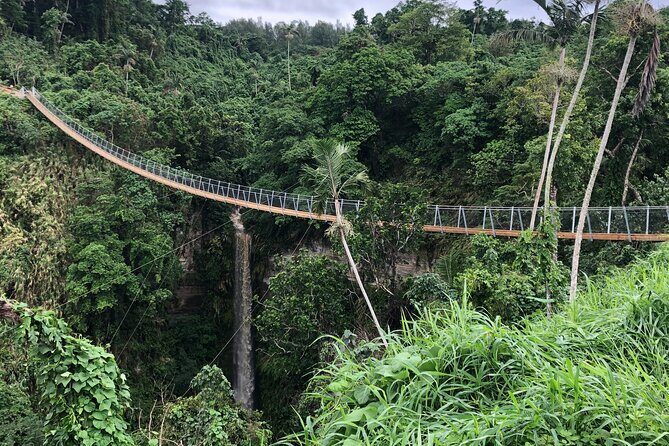 Vanuatu Jungle Zipline, Swing and Skybridge Combo with Transfer - Authentic Feedback from Travelers