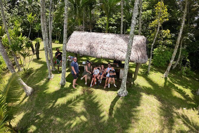 Vanuatu Skybridge - The Sum Up: Is It Worth It?