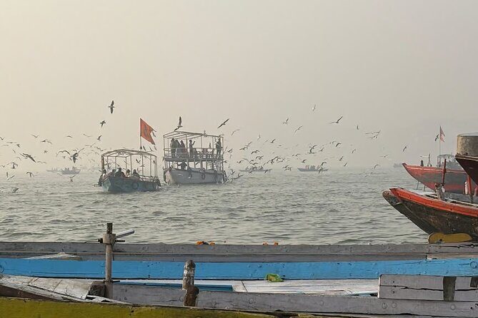 Varanasi in a Day Ancient Temples Sarnath and Ghats - Who Should Take This Tour?