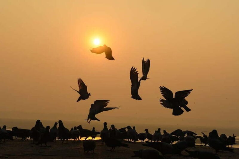 Varanasi: Sunrise Boat Tour & Ghats Experience - Key Points