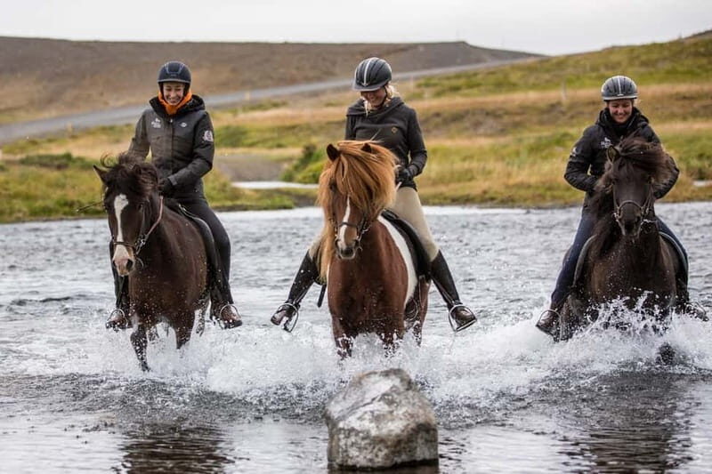 Varmahlid: 1-Hour Icelandic Horse Riding Tour - A Detailed Look at the Experience