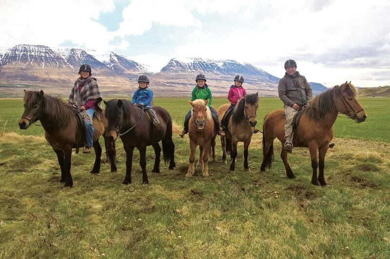 Varmahlid: 1-Hour Icelandic Horse Riding Tour - Final Thoughts