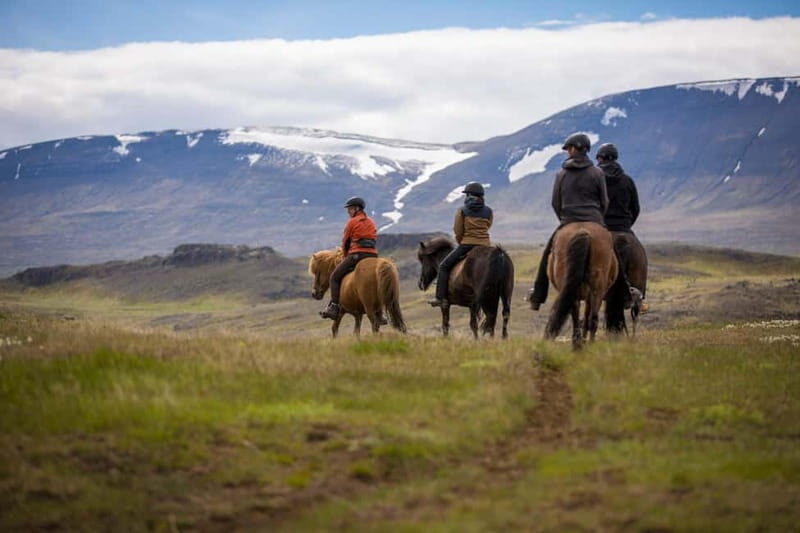 Varmahlid: Viking Horse Riding Tour - Discover the Icelandic Horse and North Iceland’s Scenic Beauty on a Viking Horse Riding Tour