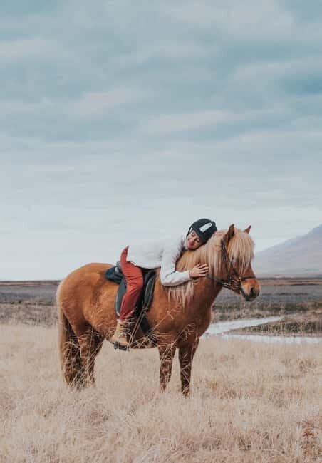Varmahlid: Viking Horse Riding Tour - Who Will Love This Tour?