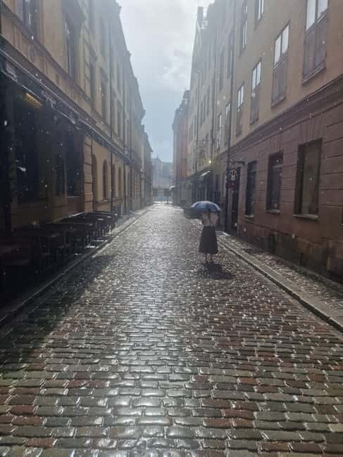 Vasa Museum and Icebar Stockholm - Who Should Consider This Tour?