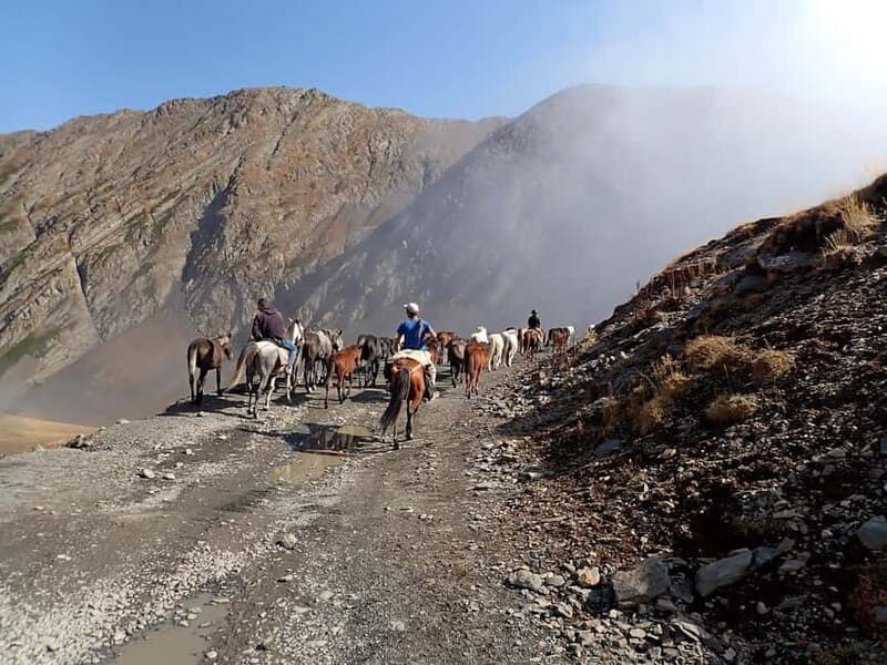 Vashlovani Nature Reserve: Horse Riding Tour - Practical Details: What You Need to Know