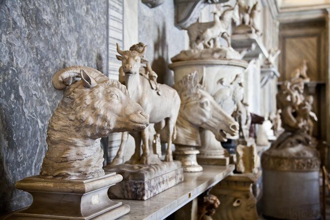 Vatican by Night Group Tour - Key Points