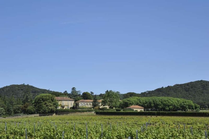 Vaucluse - Tasting & tour at Château Saint Estève: La Verticale - The Itinerary: A Deep Dive into Provençal Winemaking
