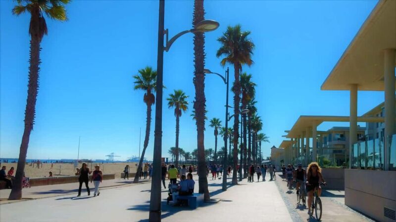 Vegan Bike Tour Albufera/Little Venice w/ Paella & Horchata - Key Points