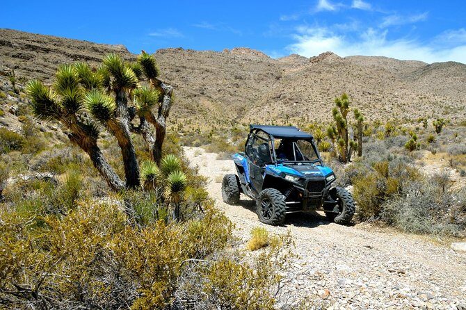 Vegas Desert RZR Adventure with Lunch at the Pioneer Saloon - Why This Tour Is Worth Considering