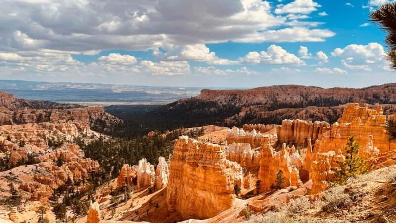 Vegas: Grand Canyon, Bryce & Zion: 3Park Experience - Comfort, Convenience, and Value