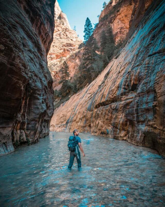 Vegas Iconic Road Trips: Zion - Who Will Love This Experience?