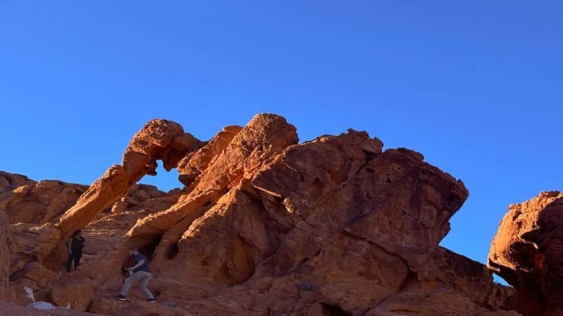 Vegas: Valley of Fire Half Day Tour/Optional Guided Hike - Key Points