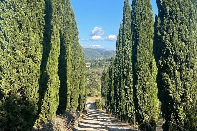 Vegetarian cooking class in the Florentine Hills 6 guests max - Practical Tips for Travelers