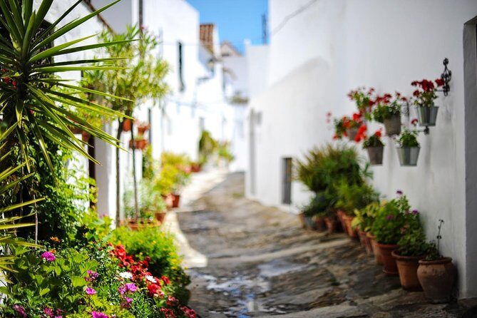 Vejer de la Frontera & Bolonia Beach Private Tour from Cadiz - Who Will Love This Tour?