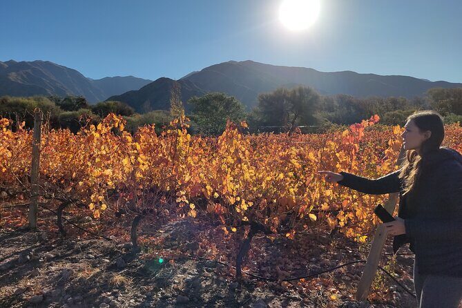 Velazco Mountains Trekking - Key Points