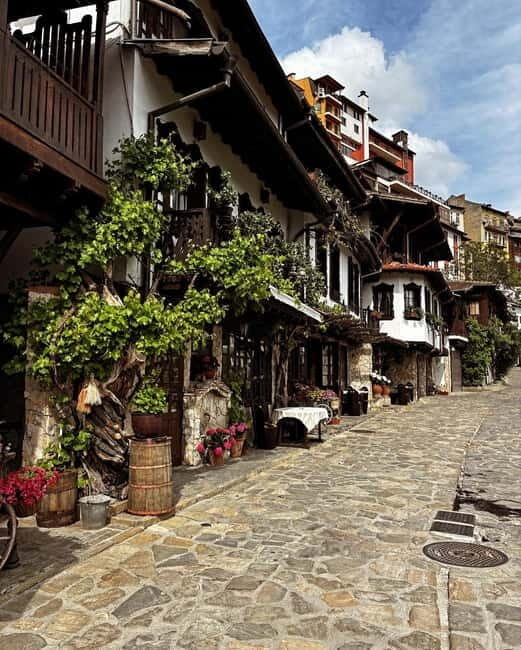 Veliko Tarnovo Day Trip from Sofia + Private Homemade Lunch - Who Will Love This Tour?