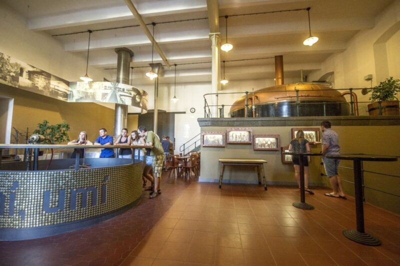 Velke Popovice: Kozel Brewery Tour with Beer Tasting - Possible Drawbacks and Considerations