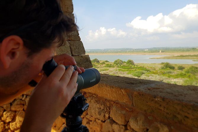 Vendicari - Sicily's best coast nature reserve ( Birdwatching & Archeology ) - Why This Tour Is a Good Deal and Who It’s For