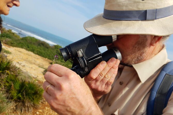 Vendicari - Sicily's best coast nature reserve ( Birdwatching & Archeology ) - Frequently Asked Questions