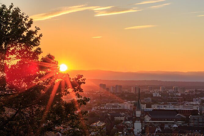 Veni vidi vino - the Freiburg wine hike - A Deep Dive into the Freiburg Wine Hike Experience