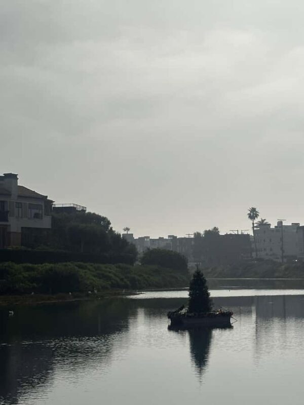 Venice Beach: Guided Walking Tour of the Canals - Why This Tour Works