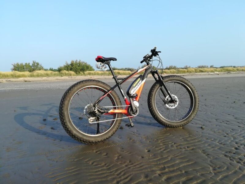 Venice E-bike Rental - Who Will Love This Experience?