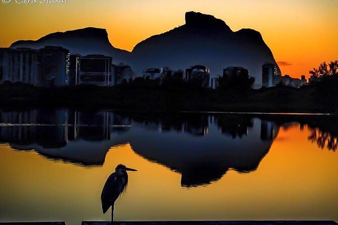 Venice in Rio Boat Trip to Gigóia Island with visit to Alligators and the Beach - The Sum Up