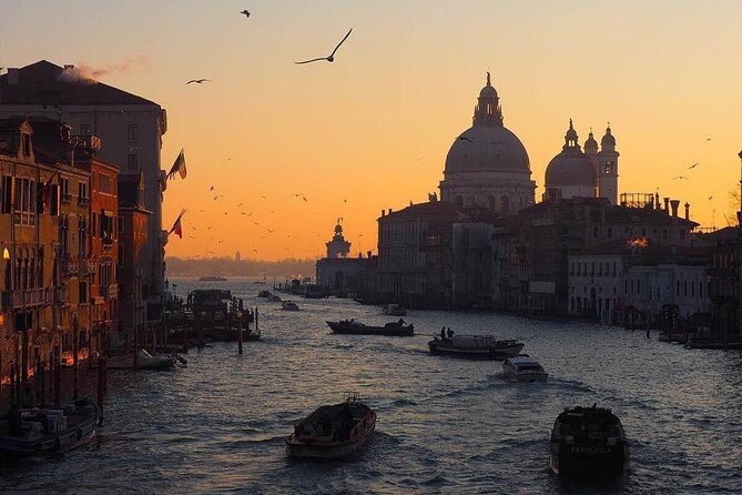 Venice Marco Polo Airport Private Arrival Transfer via Motorboat - An In-Depth Look at the Experience