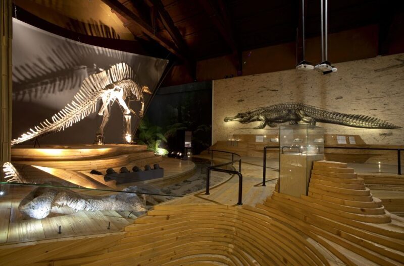 Venice: Natural History Museum Entry Ticket - Venice: Natural History Museum Entry Ticket – A Deep Dive into Natural Wonders