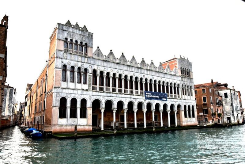 Venice: Natural History Museum Entry Ticket - Who Will Enjoy This Tour?