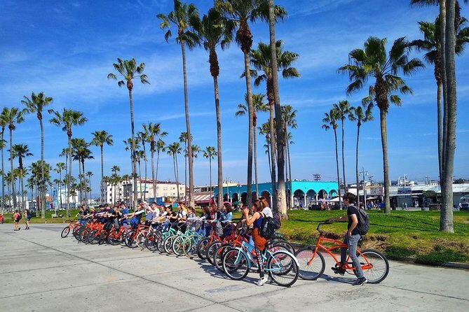 Venice Vibrations Public Bike Tour Experience - Authentic Experiences and Practical Insights