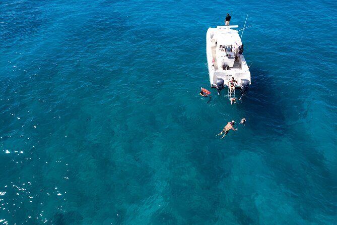 Venture Wildlife Snorkel Charter from Ko Olina - Authentic Insights from Travelers