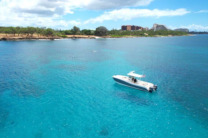 Venture Wildlife Snorkel Charter from Ko Olina - Pricing & Value