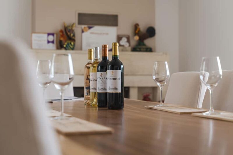 Vérac: Château L'Éperon Wine Tasting and Masterclass - Who Will Love This Experience?