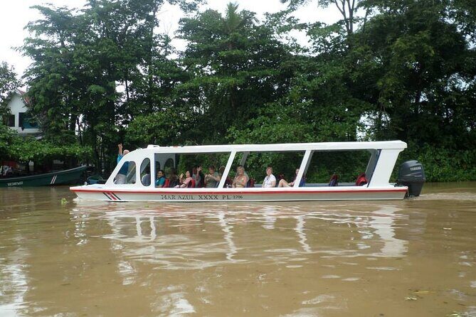 Veragua Rainforest Eco-Adventure + Aerial Tram + Tortuguero Canal - The Tour Experience: What to Expect from Start to Finish