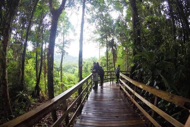 Veragua Rainforest Walk, Tram & Tortuguero Boat Tour. Limon Shore Excursion - Key Points