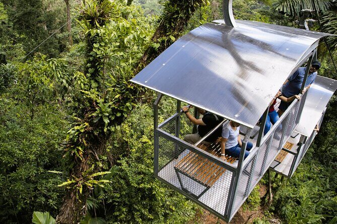 Veragua Rainforest Walk, Tram & Tortuguero Boat Tour. Limon Shore Excursion - Experiencing the Veragua Rainforest Walk, Tram & Tortuguero Boat Tour in Limon