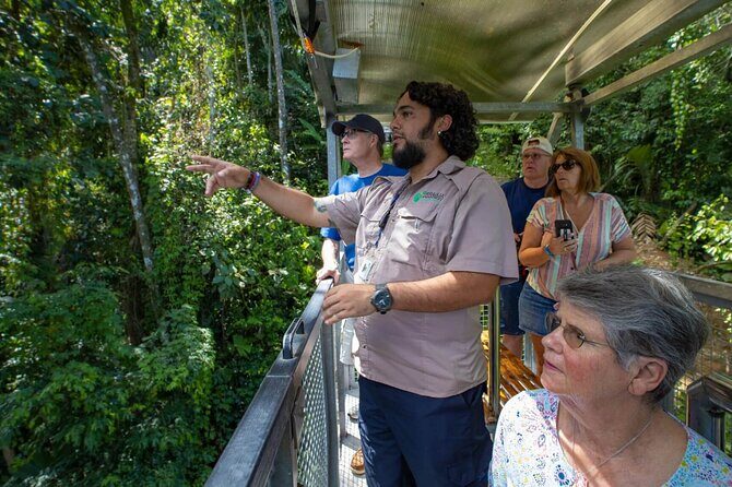 Veragua Rainforest Walk, Tram & Tortuguero Boat Tour. Limon Shore Excursion - The Sum Up: Who Should Book This Tour?