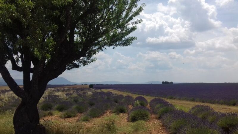 Verdon Gorge: The Grand canyon of Europe, Lake and Lavender - Final Thoughts
