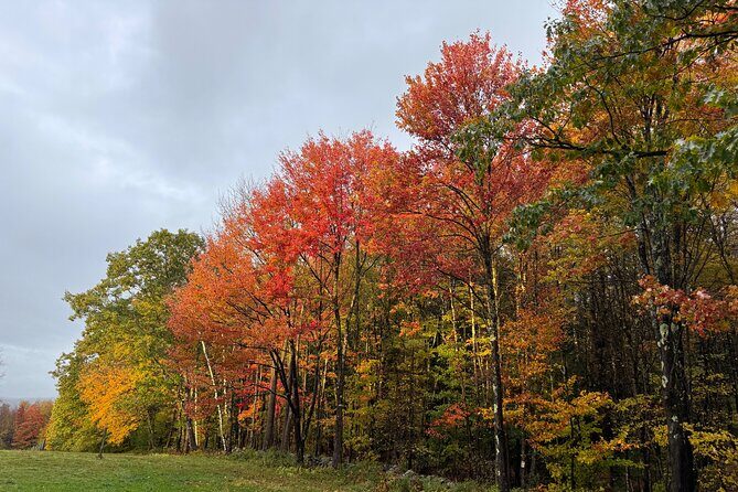 Vermont Wayfinders Fall Foliage Private Tour - Vermont Wayfinders Fall Foliage Private Tour: A Leaf-Peeping Adventure for Your Bucket List