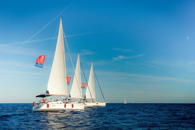 Vermut & Sailing Experience Barcelona with Drinks and Snacks - In-Depth Review: Why This Tour Is Worth It