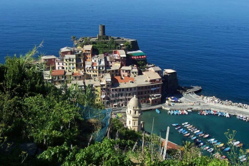 Vernazza (5 Terre): olive grove tour and oil and wine tasting - Exploring the Details: What You Can Expect