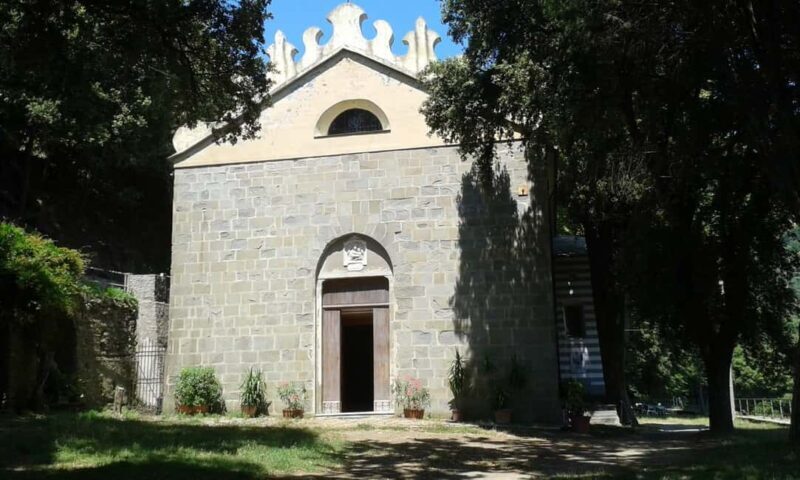 Vernazza (5 Terre): olive grove tour and oil and wine tasting - The Sum Up