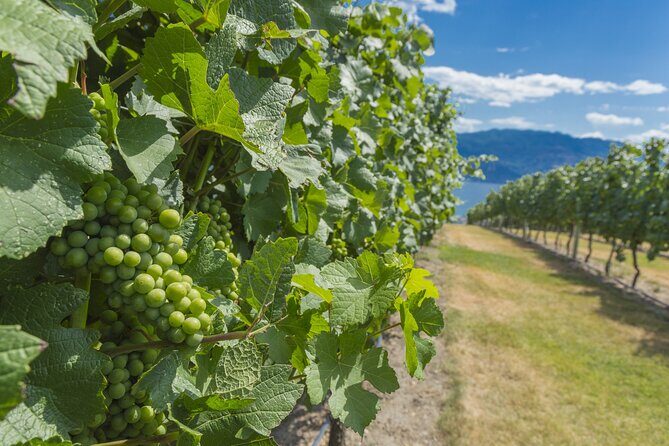 Vernon Private Wine & Boat Tour on Okanagan Lake - Practical Details & Tips