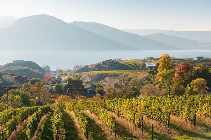 Vernon Private Wine & Boat Tour on Okanagan Lake - Who Should Consider This Tour?