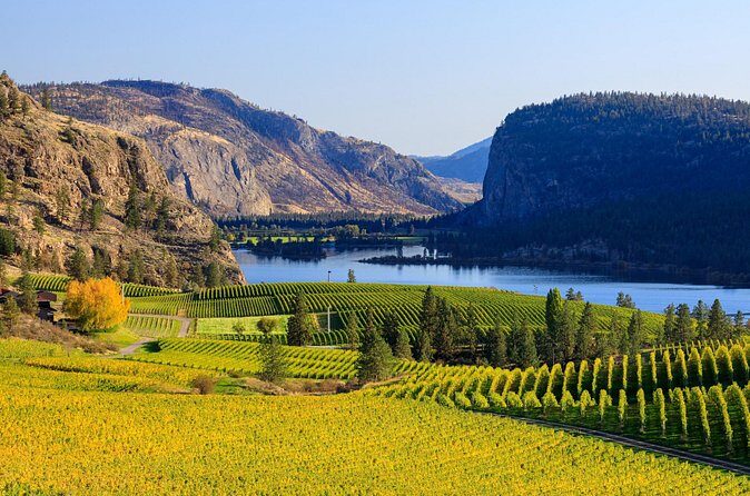 Vernon Private Wine & Boat Tour on Okanagan Lake - FAQ