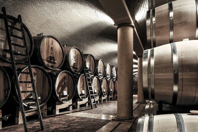 Verona area: Wine Tasting Experience in Valpolicella - Final Thoughts: Who Is This Tour Best For?