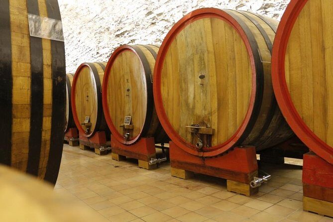 Verona art city, Valpolicella wine tasting full day private tour - Comfort and Practical Details